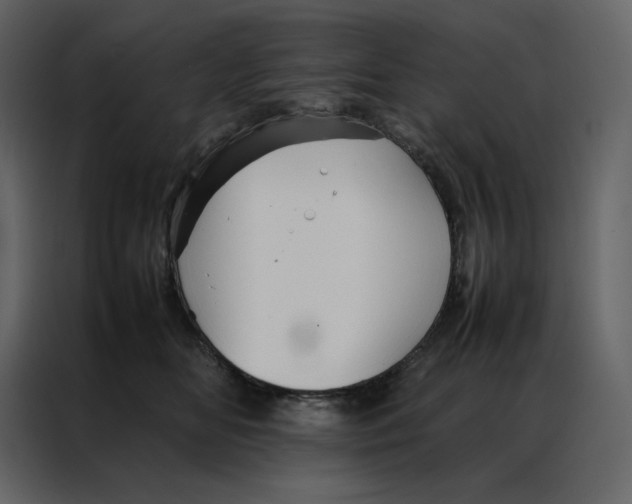 X0000086990518200705071439