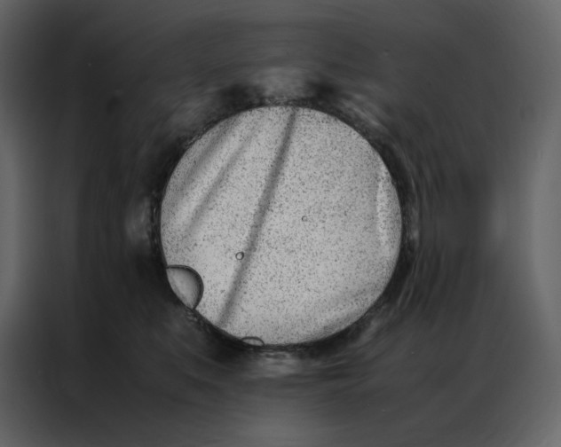 X0000086990519200705071439