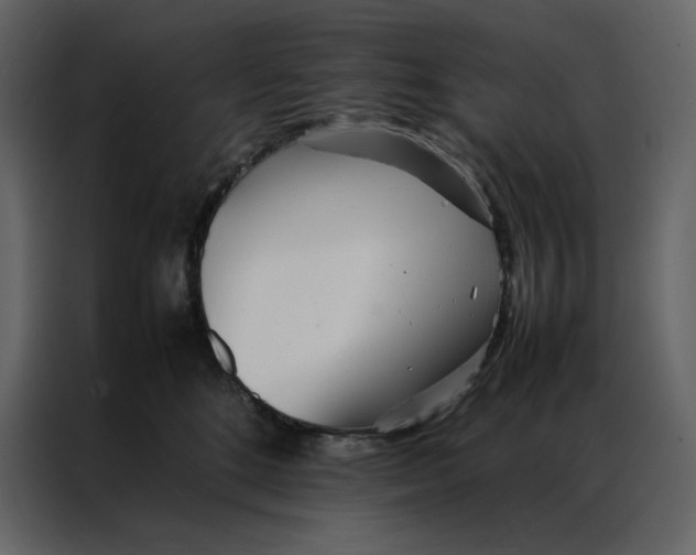 X0000086990520200705071439