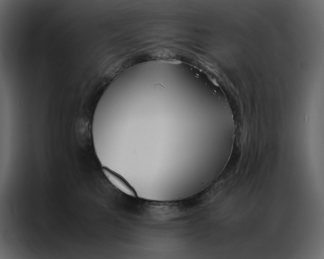 X0000086990521200705071439