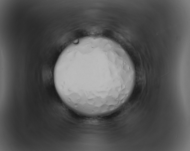 X0000086990523200705071439