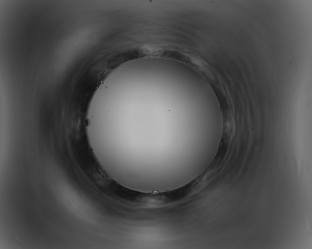 X0000086990525200705071439