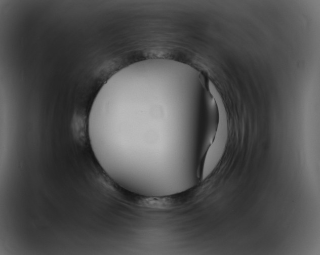 X0000086990526200705071439