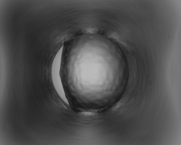 X0000086990528200705071439