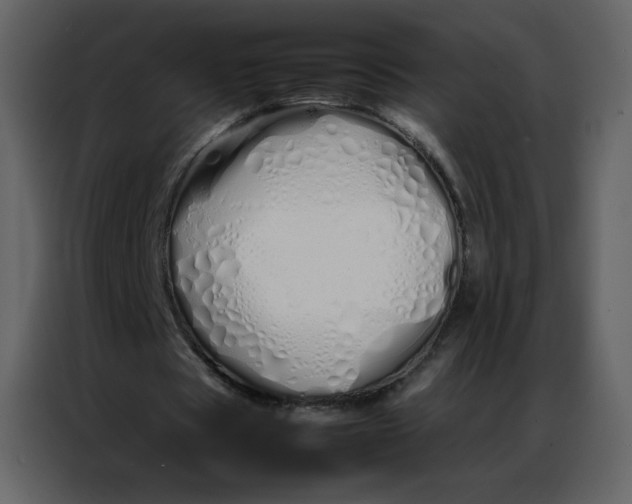 X0000086990529200705071438