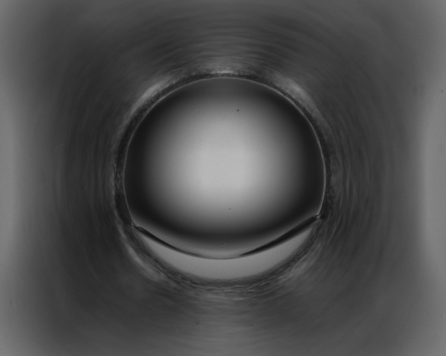 X0000086990530200705071438