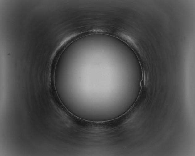 X0000086990531200705071438