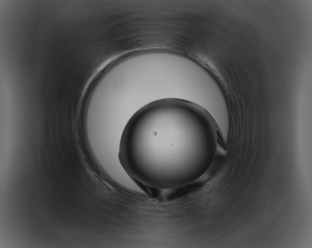 X0000086990532200705071438