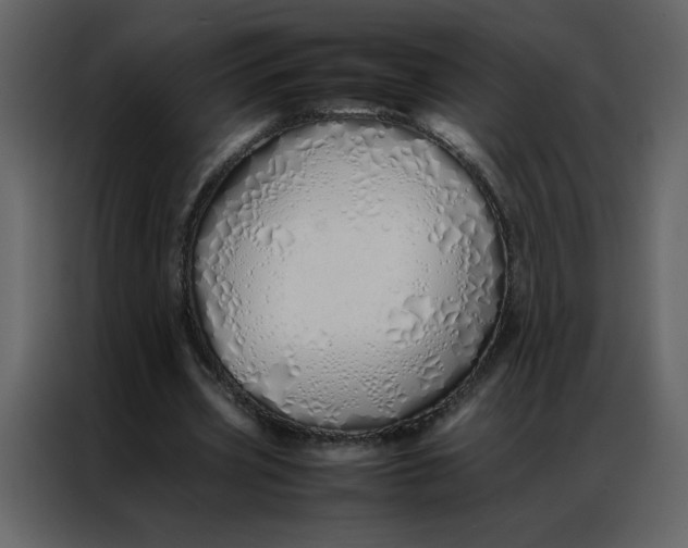 X0000086990533200705071438