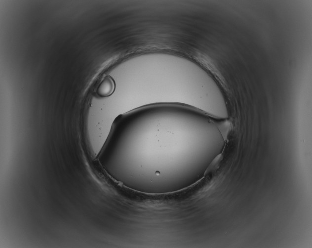 X0000086990534200705071438