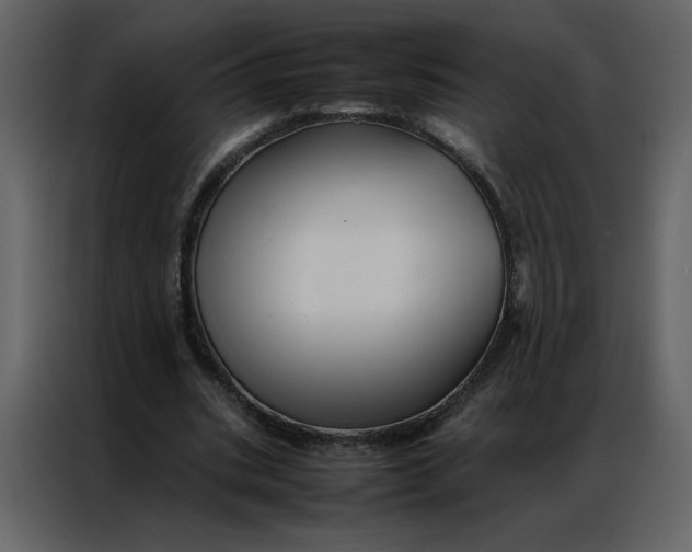 X0000086990535200705071438