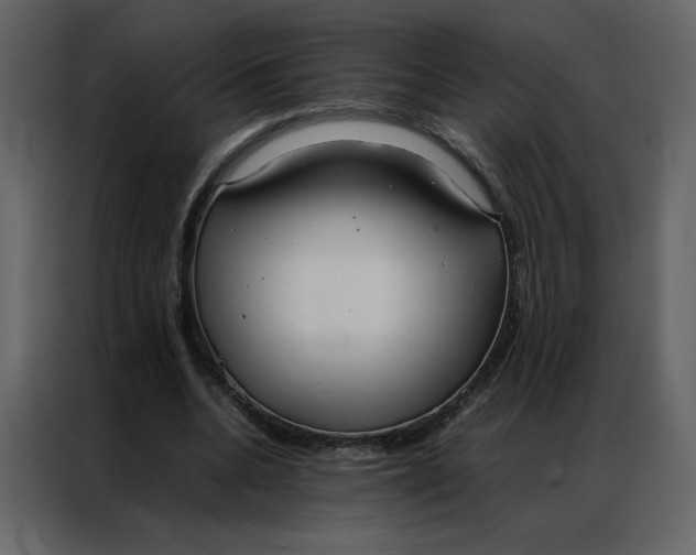 X0000086990536200705071438