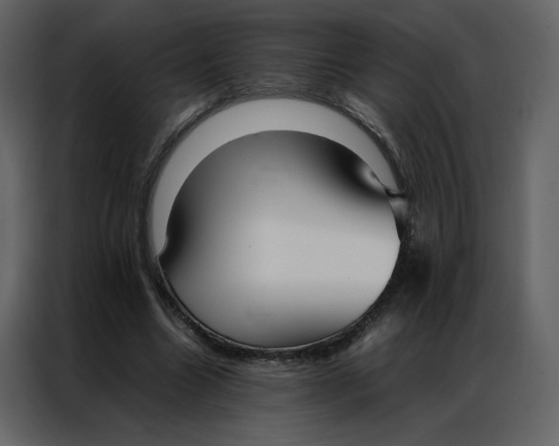 X0000086990538200705071438