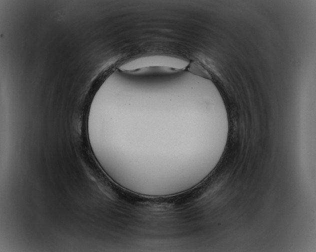 X0000086990539200705071438