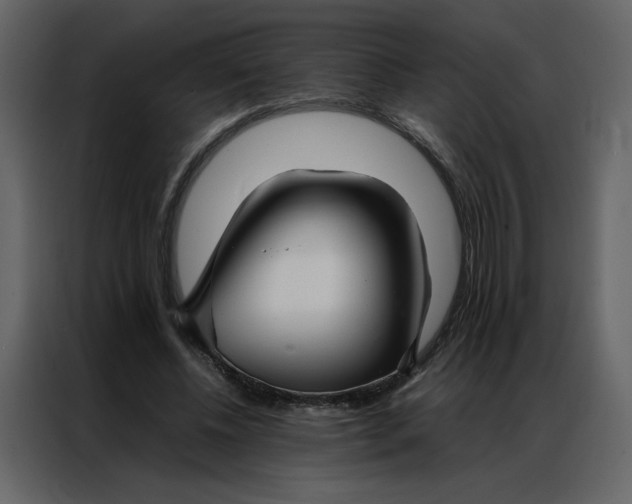 X0000086990540200705071438