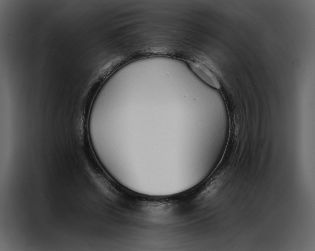 X0000086990542200705071438