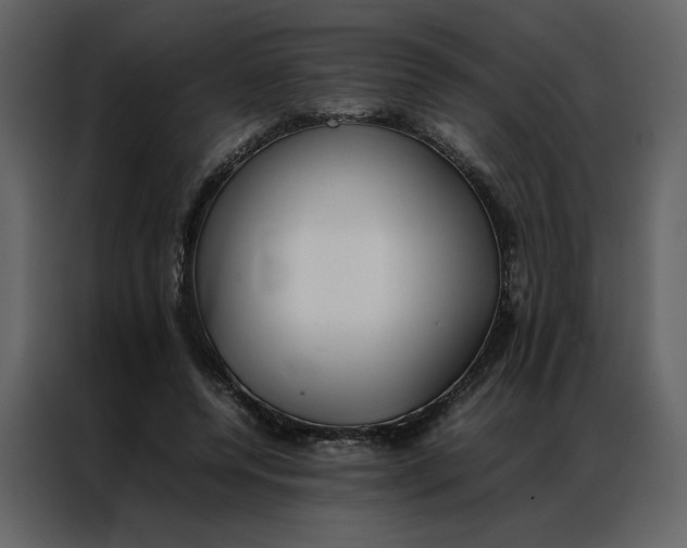 X0000086990544200705071438