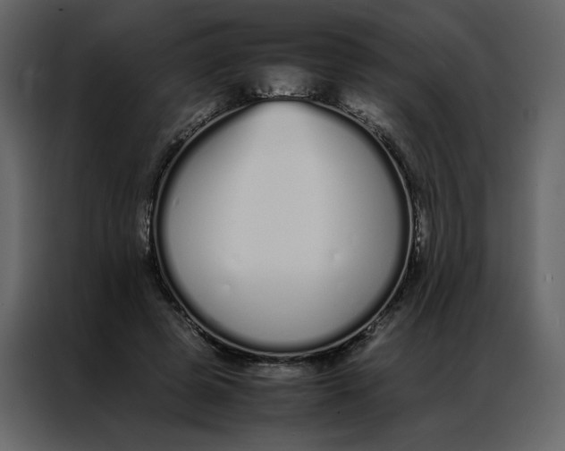 X0000086990545200705071438