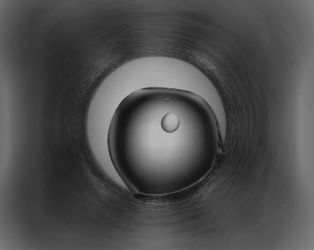 X0000086990546200705071438