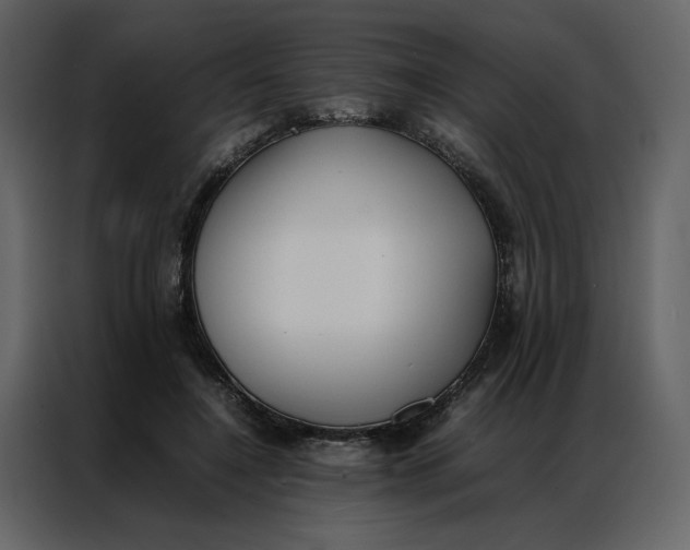 X0000086990548200705071438