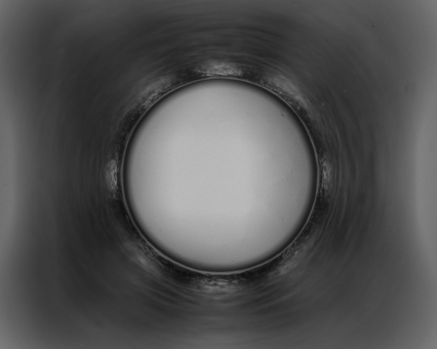 X0000086990549200705071439