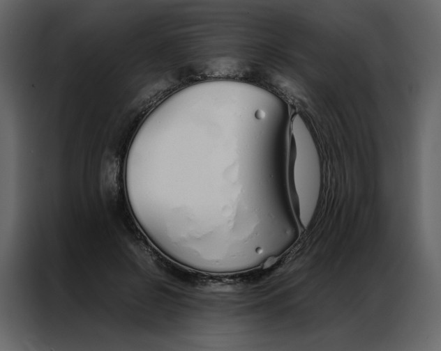 X0000086990550200705071439