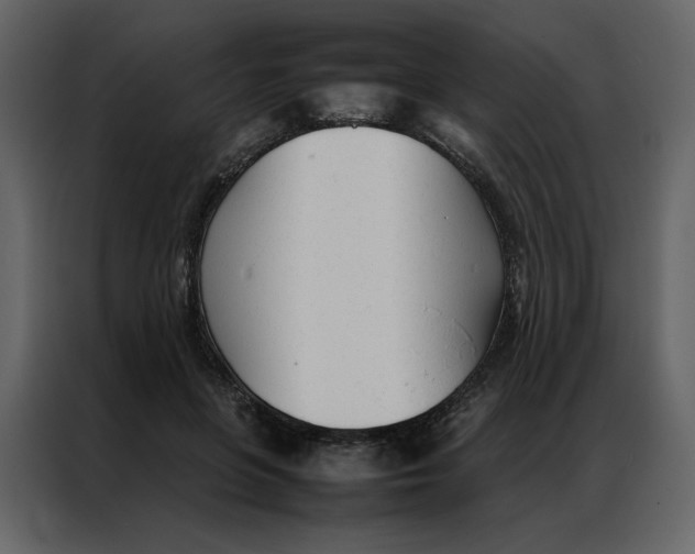 X0000086990551200705071439