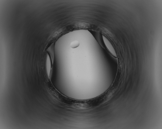 X0000086990552200705071439