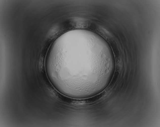 X0000086990554200705071439