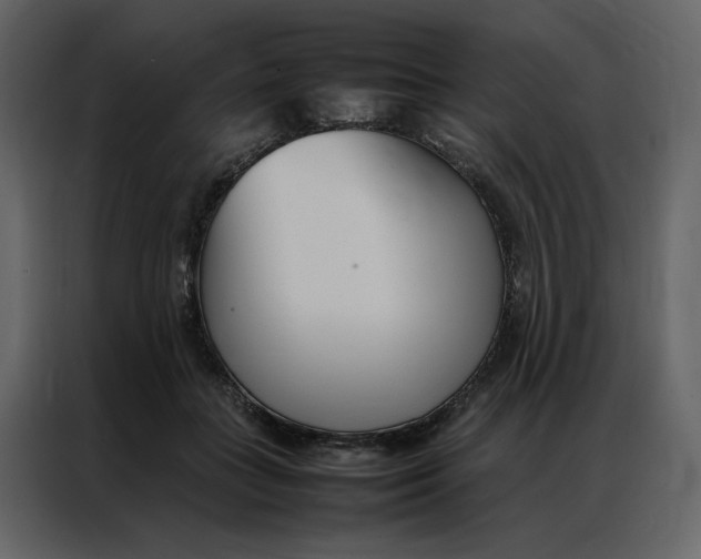 X0000086990555200705071439