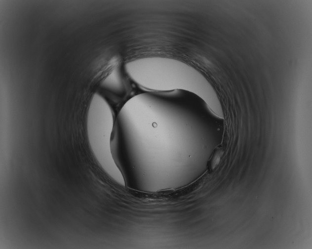 X0000086990556200705071439