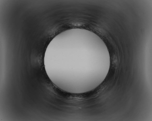 X0000086990559200705071439