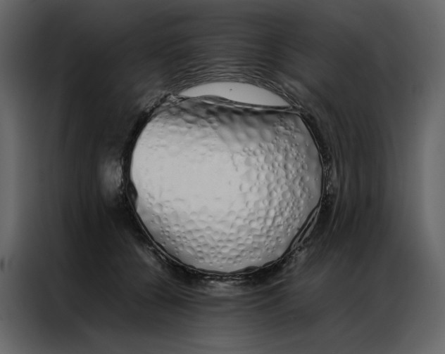 X0000086990560200705071439