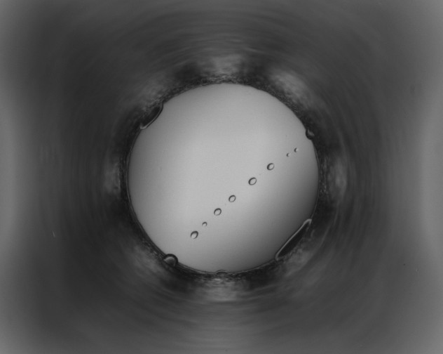 X0000086990562200705071439