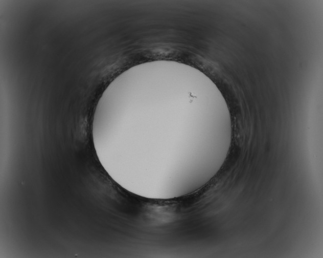 X0000086990563200705071439