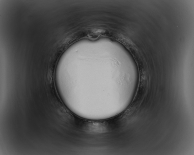 X0000086990565200705071439