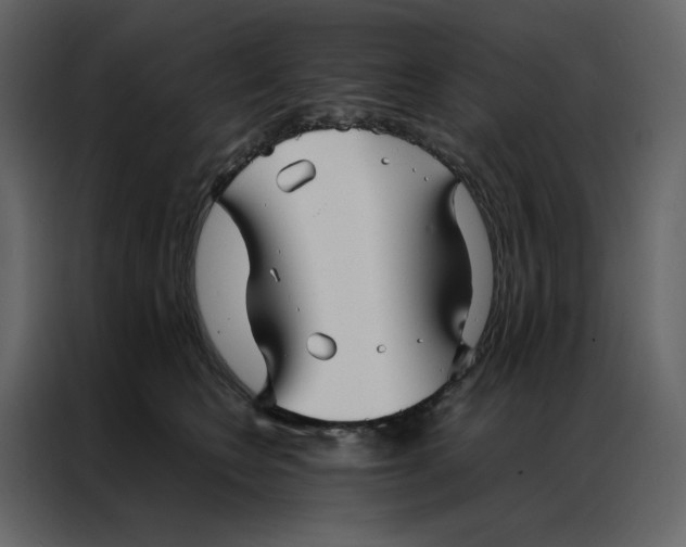 X0000086990566200705071439