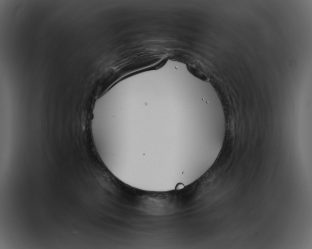 X0000086990567200705071439