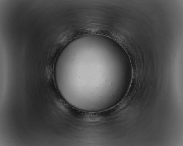 X0000086990568200705071439