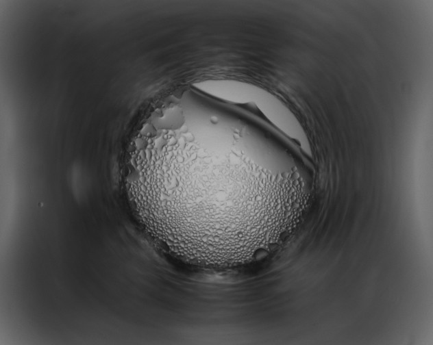 X0000086990569200705071439