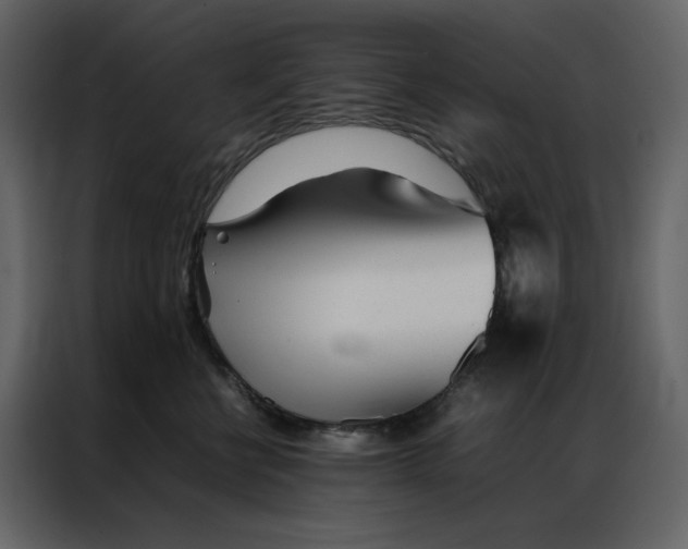 X0000086990570200705071439