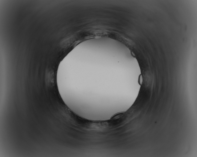 X0000086990571200705071439