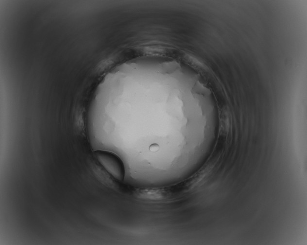 X0000086990573200705071439