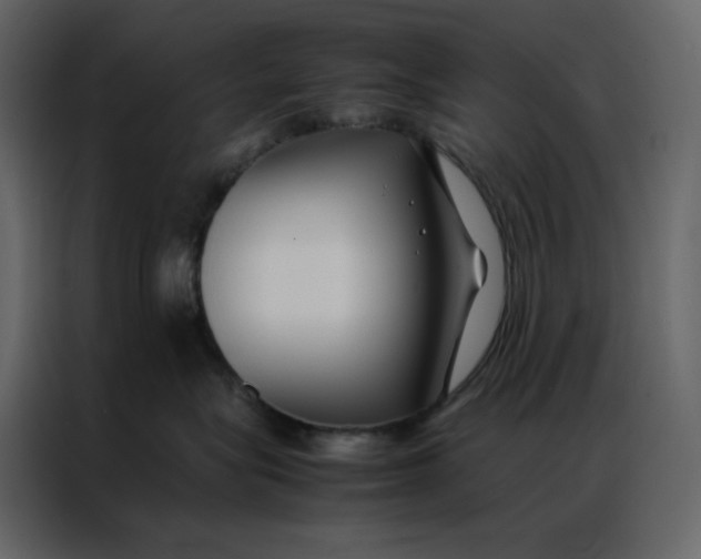 X0000086990575200705071439