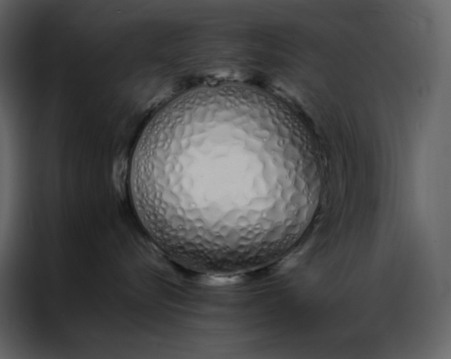 X0000086990576200705071439