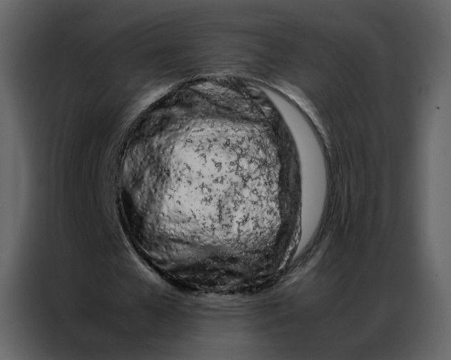 X0000086990577200705071438