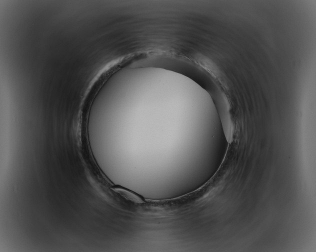 X0000086990580200705071438