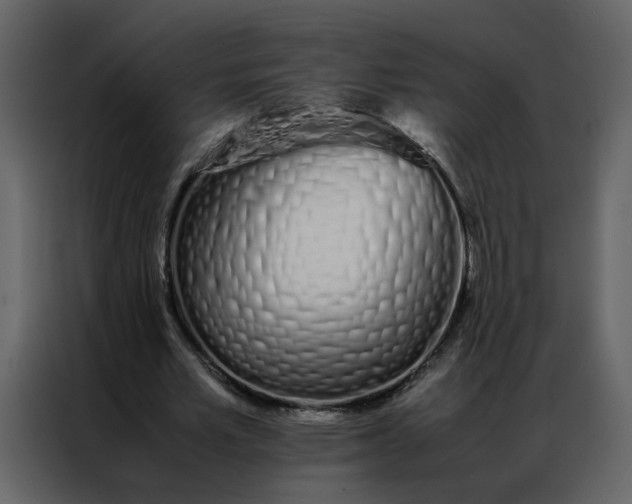 X0000086990581200705071438