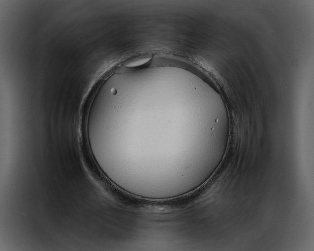 X0000086990582200705071438