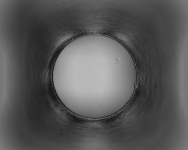 X0000086990583200705071438